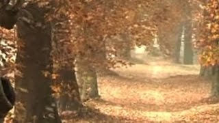 Watch Mughal Gardens wear a deserted look after unrest in Valley Video