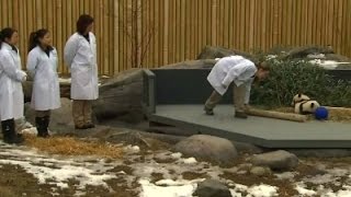 Watch PM Trudeau: Panda A Symbol of Peace, Friendship Video