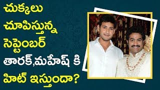 Watch NTR & Mahesh Movies Will Break The Records ? || à°¸à±†à°ªà±à°Ÿà±†à°‚à°¬à°°à± à°¤à°¾à°°à°•à±,à°®à°¹à±‡à°·à± à°•à°¿ à°¹à°¿à°Ÿà± à°‡à°¸à±à°¤à±à°‚à°¦à°¾? Video