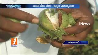 Watch Huge Losses To Cotton Farmers Due to Pink Boll Worm | Ground Report | iNews Video