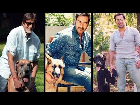 Watch Bollywood Celebrities Who Love Their Pet Dogs Video