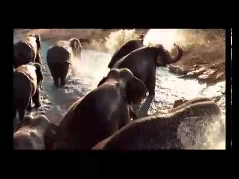 Watch Happydent - daaton tale diya jale Video