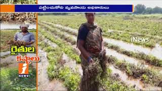 Watch Heavy Rains Destroyed Groundnut and Cotton Crops in Vempalli Losses To Farmers | iNews Video