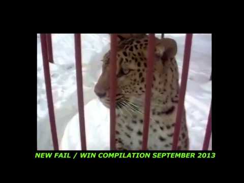 Watch People Are Awesome 2014 (special edition) people are awesome 2014 (best edition hd) best o - Best Funny Video Video