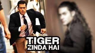 Watch Salman Khan To FIGHT With This Villian In Tiger Zinda Hai Video