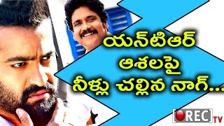 Watch Nagarjuna upsets Jr NTR! | 2017 Latest  film #Gossips | RECTV INDIA Video