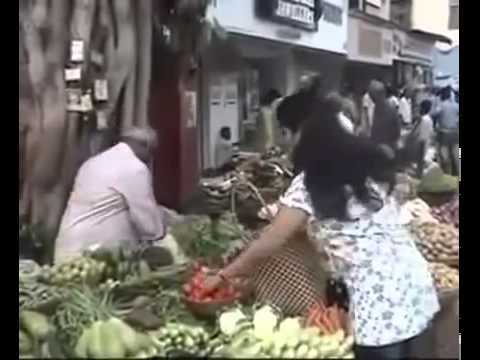 Watch Whatsapp videos very funny Video Free