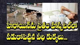 Watch Parul Yadav Attacked by Six Stray Dogs - Seriously Injured || Latest news updates II RECTV INDIA Video