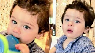 Watch Kareena Kapoor Cute Boy Taimur Ali Khan Playing With Jacqueline Fernandez Video