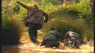 Watch Banned Commercials Woodpecker Beer Duck Video