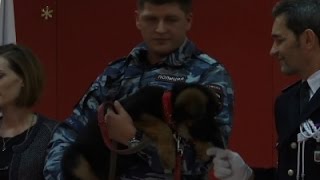 Watch Raw- Russia Gives Puppy After Dog Killed In Raid Video Video