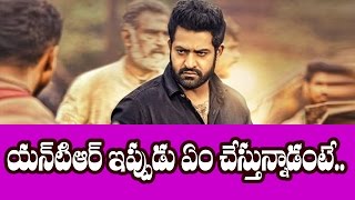 Watch Jr NTR New Look For Next Movie || Latest telugu film news updates gossips Video