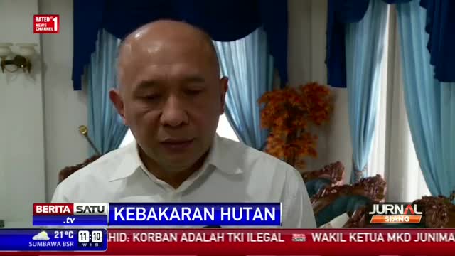 Watch Presiden Jokowi Tinjau Langsung Kebakaran Hutan Video