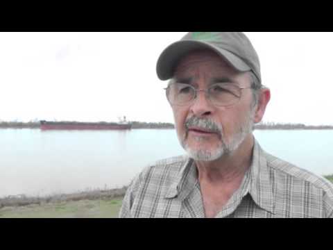 Watch Lower Mississippi River Reopens After Oil Spill News Video Video