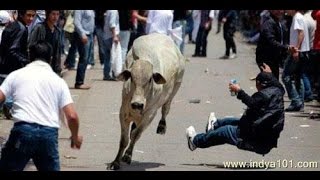 Watch Indian Whatsapp Videos - Indian Funny Videos Compilation Video