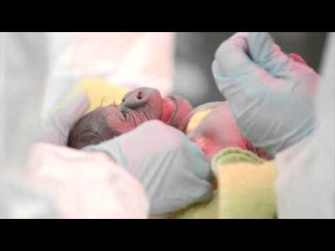 Watch Raw- Baby Gorilla Born in Rare C-section News Video Video