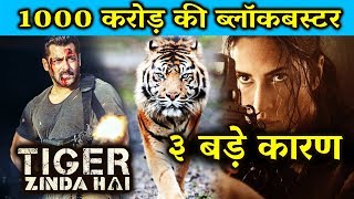 Watch Salman Khan's Tiger Zinda Hai Will CROSSES 1000 Crore - Here Are 3 BIG PROOFS Video