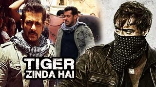 Watch Salman's New Look In SCRAF For Tiger Zinda Hai, Baadshaho Ajay-Ileana's LOVE MAKING Scene Chopped Video