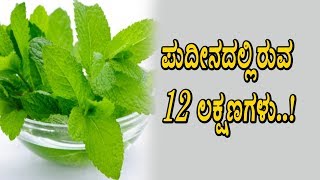 Watch Amazing 12 benefits of Mint leaves | Kannada Health Videos | Top Kannada TV Video