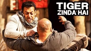 Watch Iranian Actor To Debut In Salman Khan's Tiger Zinda Hai Video