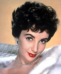Free Download Elizabeth Taylor 243 Wallpaper HD FREE (Download 243 HD wallpaper FREE)