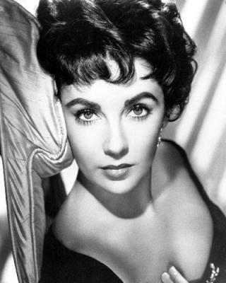 Free Download 19th Elizabeth Taylor  1031 Wallpaper HD FREE (Download 1031 HD wallpaper FREE)