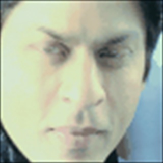 Free Download Shahrukh Khan 937 Wallpaper HD FREE (Download 937 HD wallpaper FREE)