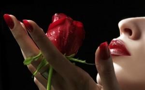 Free Download Happy Rose Day 2012 Wishes  1055 Wallpaper HD FREE (Download 1055 HD wallpaper FREE)