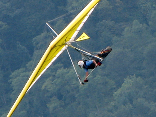 Free Download Gliders free wallpaper 774 Wallpaper HD FREE (Download 774 HD wallpaper FREE)