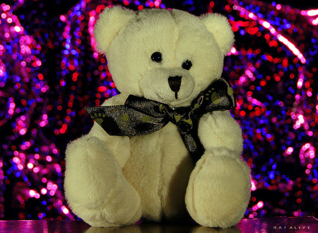Free Download Happy Teddy Bear Day Cute Wallpapers - Valentine Week 758 Wallpaper HD FREE (Download 758 HD wallpaper FREE)