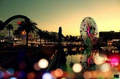 Free Download Dreamland Lights Beautiful Photography 2014 214 Wallpaper HD FREE (Download 214 HD wallpaper FREE)