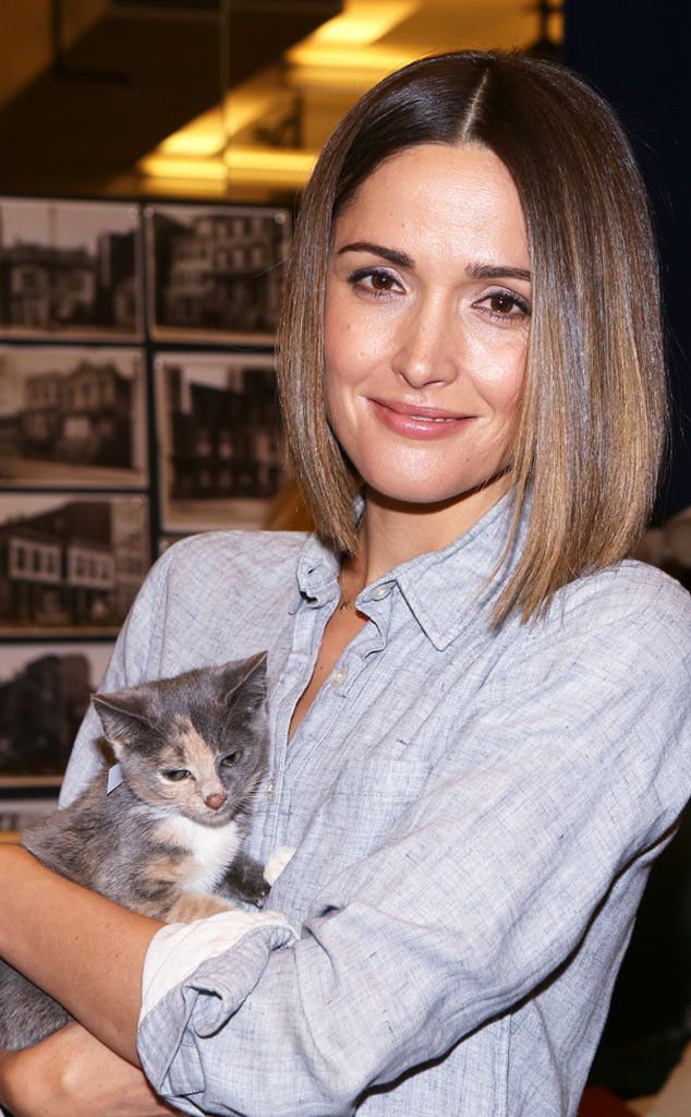 Download Rose Byrne from The Big Picture: Today's Hot Pics Wallpaper HD FREE