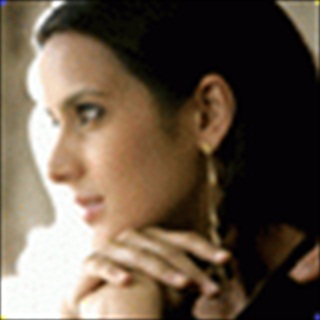 Free Download tulip Joshi 1038 Wallpaper HD FREE (Download 1038 HD wallpaper FREE)