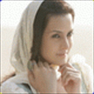 Free Download tulip Joshi 234 Wallpaper HD FREE (Download 234 HD wallpaper FREE)