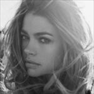 Free Download Denise Richards 854 Wallpaper HD FREE (Download 854 HD wallpaper FREE)