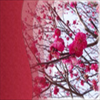 Free Download Collage 197 Wallpaper HD FREE (Download 197 HD wallpaper FREE)