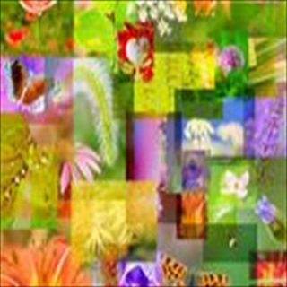 Free Download Collage 1009 Wallpaper HD FREE (Download 1009 HD wallpaper FREE)