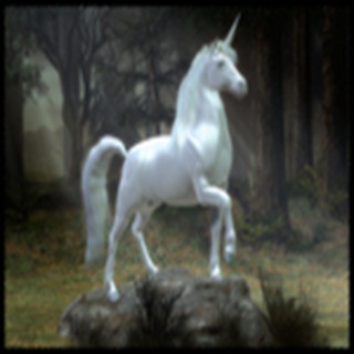 Free Download Fantasy 215 Wallpaper HD FREE (Download 215 HD wallpaper FREE)
