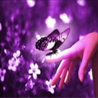 Free Download Fantasy 198 Wallpaper HD FREE (Download 198 HD wallpaper FREE)