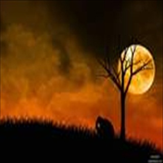 Free Download Fantasy 243 Wallpaper HD FREE (Download 243 HD wallpaper FREE)