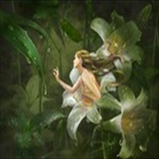 Free Download Fantasy 209 Wallpaper HD FREE (Download 209 HD wallpaper FREE)
