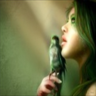 Free Download Fantasy 214 Wallpaper HD FREE (Download 214 HD wallpaper FREE)