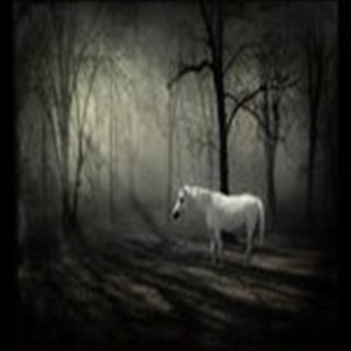 Download Fantasy Wallpaper HD FREE