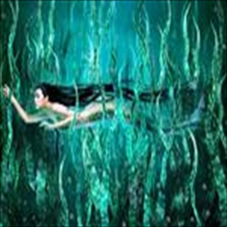 Free Download Fantasy 1003 Wallpaper HD FREE (Download 1003 HD wallpaper FREE)