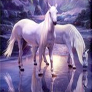 Free Download Fantasy 255 Wallpaper HD FREE (Download 255 HD wallpaper FREE)