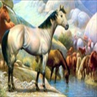 Free Download Fantasy 205 Wallpaper HD FREE (Download 205 HD wallpaper FREE)