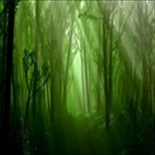 Free Download Fantasy 243 Wallpaper HD FREE (Download 243 HD wallpaper FREE)