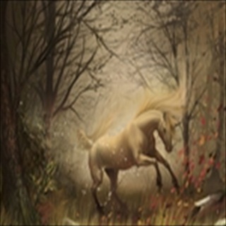 Free Download Fantasy 450 Wallpaper HD FREE (Download 450 HD wallpaper FREE)
