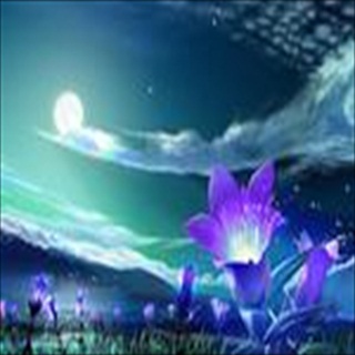 Free Download Fantasy 212 Wallpaper HD FREE (Download 212 HD wallpaper FREE)