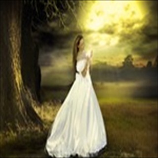 Free Download Fantasy 441 Wallpaper HD FREE (Download 441 HD wallpaper FREE)
